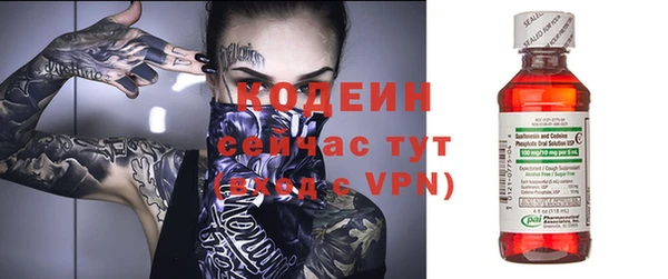a pvp Пересвет