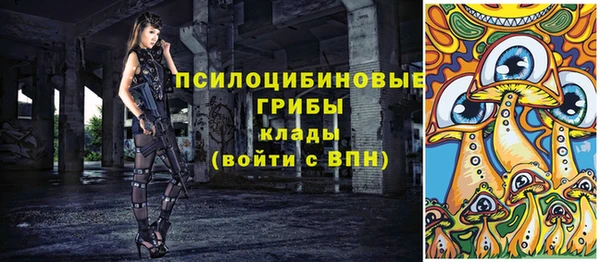 mdpv Переславль-Залесский