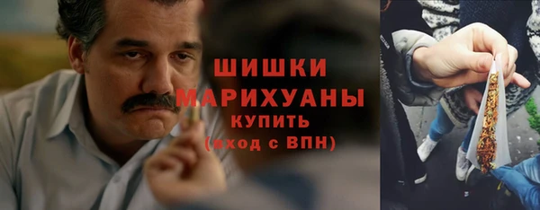 Альфа ПВП Пестово