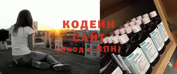 a pvp Пересвет